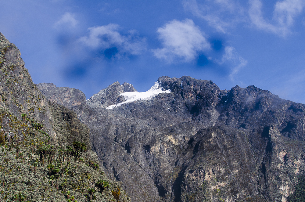 Rwenzori Mountains National Park