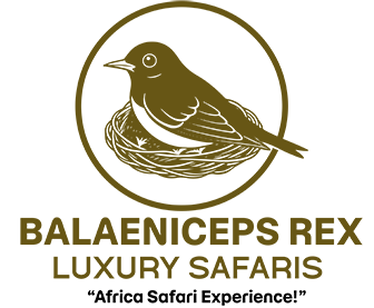 Balaeniceps Rex Luxury Safaris logo
